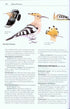 Rare Birds of North America - Howell, S.N.G. ym. 2014